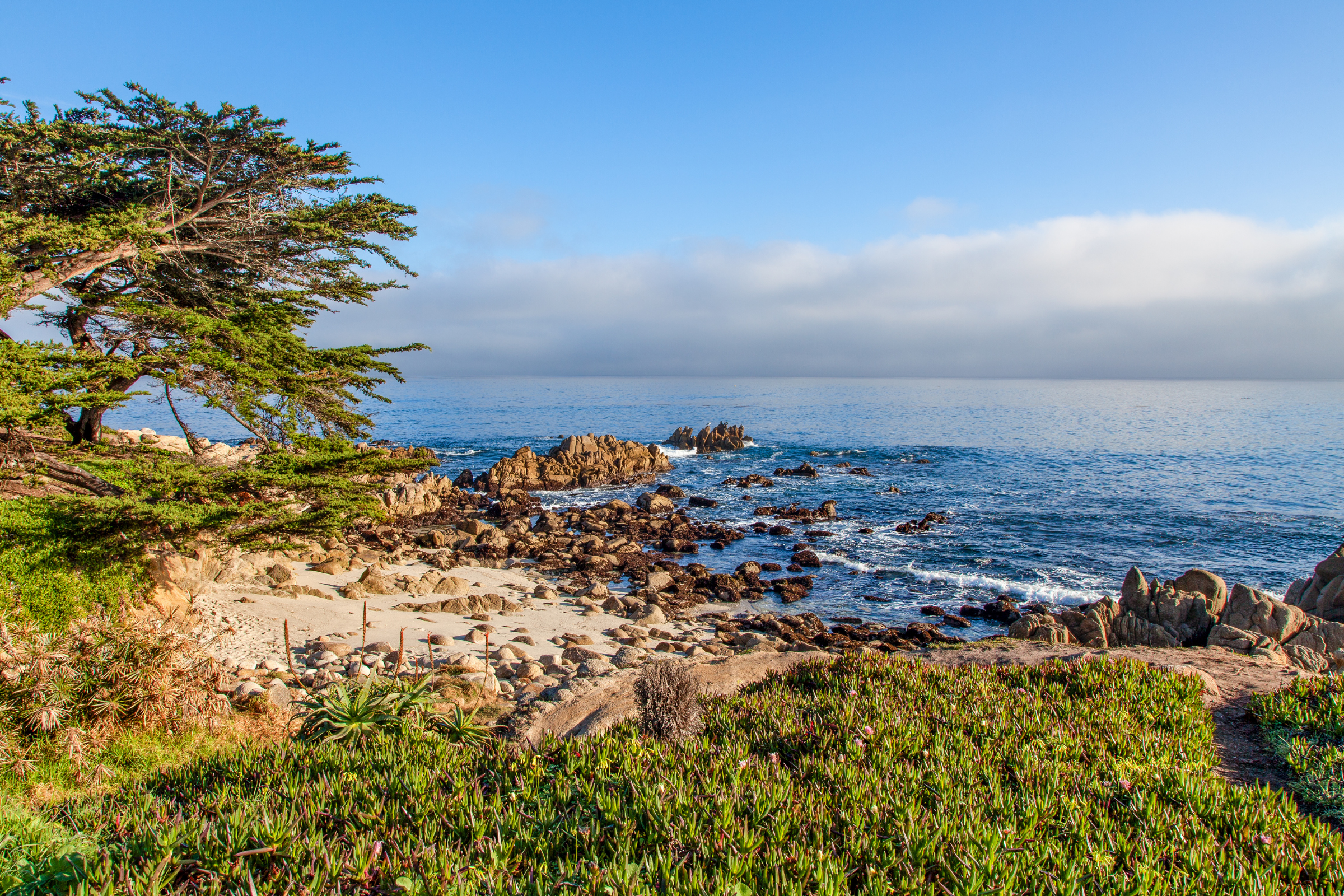 monterey, california (2).webp